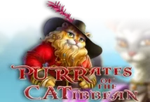 Image of the slot machine game Purrates of the Catibbean provided by High 5 Games