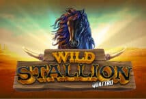 Image of the slot machine game Wild Stallion Quattro provided by Stakelogic
