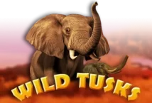 Image of the slot machine game Wild Tusks provided by High 5 Games
