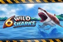 Image of the slot machine game 6 Wild Sharks provided by 4ThePlayer
