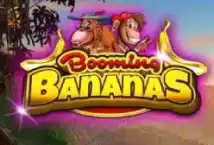 Image of the slot machine game Booming Bananas provided by BGaming