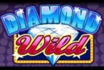Image of the slot machine game Diamond Wild provided by iSoftBet