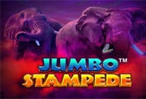 Image of the slot machine game Jumbo Stampede provided by iSoftBet