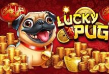 Image of the slot machine game Lucky Pug provided by High 5 Games