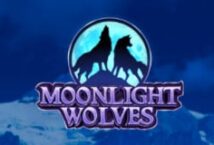 Image of the slot machine game Moonlight Wolves provided by Leander Games