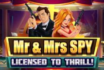 Image of the slot machine game Mr and Mrs Spy provided by WMS