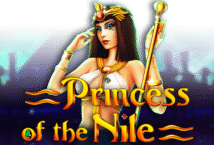 Image of the slot machine game Princess of the Nile provided by 5men-gaming.