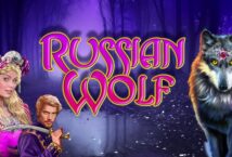 Image of the slot machine game Russian Wolf provided by High 5 Games