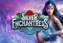 Image of the slot machine game Silver Enchantress provided by High 5 Games