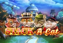 Image of the slot machine game Stack a Cat provided by Gameplay Interactive