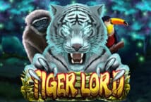 Image of the slot machine game Tiger Lord provided by Platipus