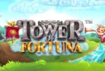 Image of the slot machine game Tower of Fortuna provided by Betsoft Gaming