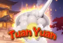 Image of the slot machine game Tuan Yuan provided by Play'n Go