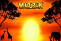 Image of the slot machine game Wild Run provided by vibra-gaming.