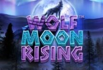 Image of the slot machine game Wolf Moon Rising provided by Amusnet Interactive