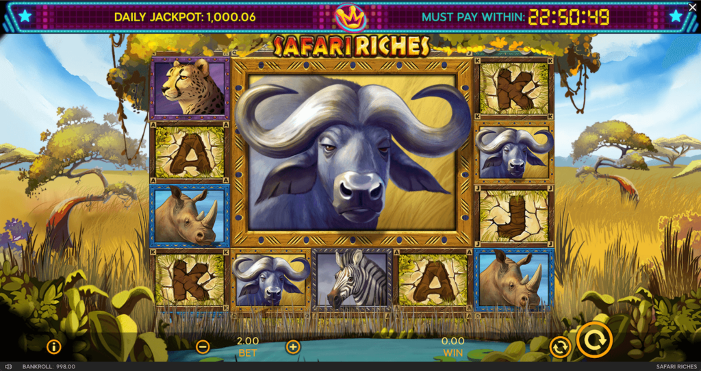 Safari Riches Screen