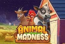 Image of the slot machine game Animal Madness provided by Play'n Go