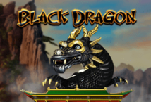 Image of the slot machine game Black Dragon provided by Realtime Gaming