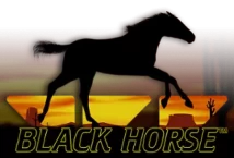 Image of the slot machine game Black Horse provided by Wazdan