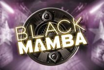 Image of the slot machine game Black Mamba provided by Play'n Go