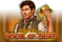 Image of the slot machine game Book of Dead provided by Vibra Gaming