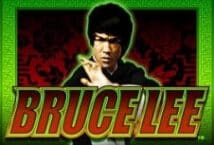 Image of the slot machine game Bruce Lee provided by WMS