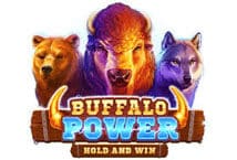 Image of the slot machine game Buffalo Power: Hold and Win provided by Playson