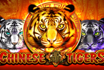Image of the slot machine game Chinese Tigers provided by Platipus