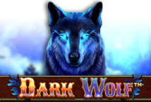 Image of the slot machine game Dark Wolf provided by spinomenal.