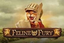 Image of the slot machine game Feline Fury provided by Play'n Go