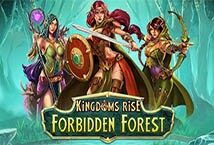 Image of the slot machine game Kingdoms Rise: Forbidden Forest provided by Playtech