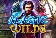 Image of the slot machine game Magic Wilds provided by Betsoft Gaming