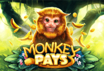 Image of the slot machine game Monkey Pays provided by Woohoo Games