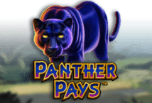 Image of the slot machine game Panther Pays provided by Playtech