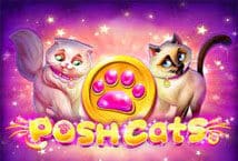 Image of the slot machine game Posh Cats provided by Platipus