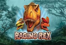 Image of the slot machine game Raging Rex provided by Play'n Go
