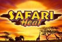 Image of the slot machine game Safari Heat provided by Playtech