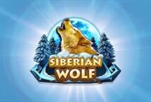 Image of the slot machine game Siberian Wolf provided by Red Rake Gaming