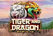 Image of the slot machine game Tiger and Dragon provided by Red Rake Gaming
