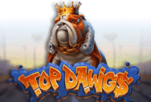 Image of the slot machine game Top Dawgs provided by Betsoft Gaming