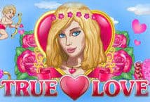 Image of the slot machine game True Love provided by Platipus