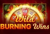 Image of the slot machine game Wild Burning Wins: 5 provided by Playson