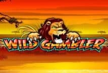 Image of the slot machine game Wild Gambler provided by playtech.