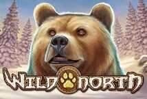 Image of the slot machine game Wild North provided by Casino Technology