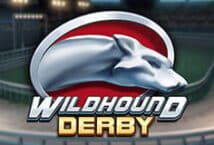 Image of the slot machine game Wildhound Derby provided by playn-go.