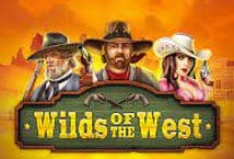 Image of the slot machine game Wilds of the West provided by InBet