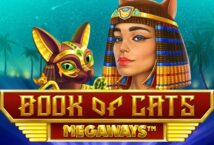 Image of the slot machine game Book of Cats Megaways provided by All41 Studios