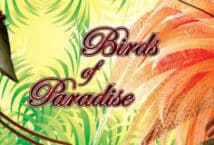 Image of the slot machine game Birds of Paradise provided by WGS Technology