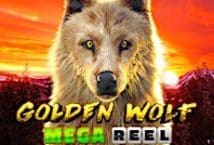 Image of the slot machine game Golden Wolf provided by Saucify