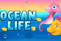 Image of the slot machine game Ocean Life provided by Amigo Gaming